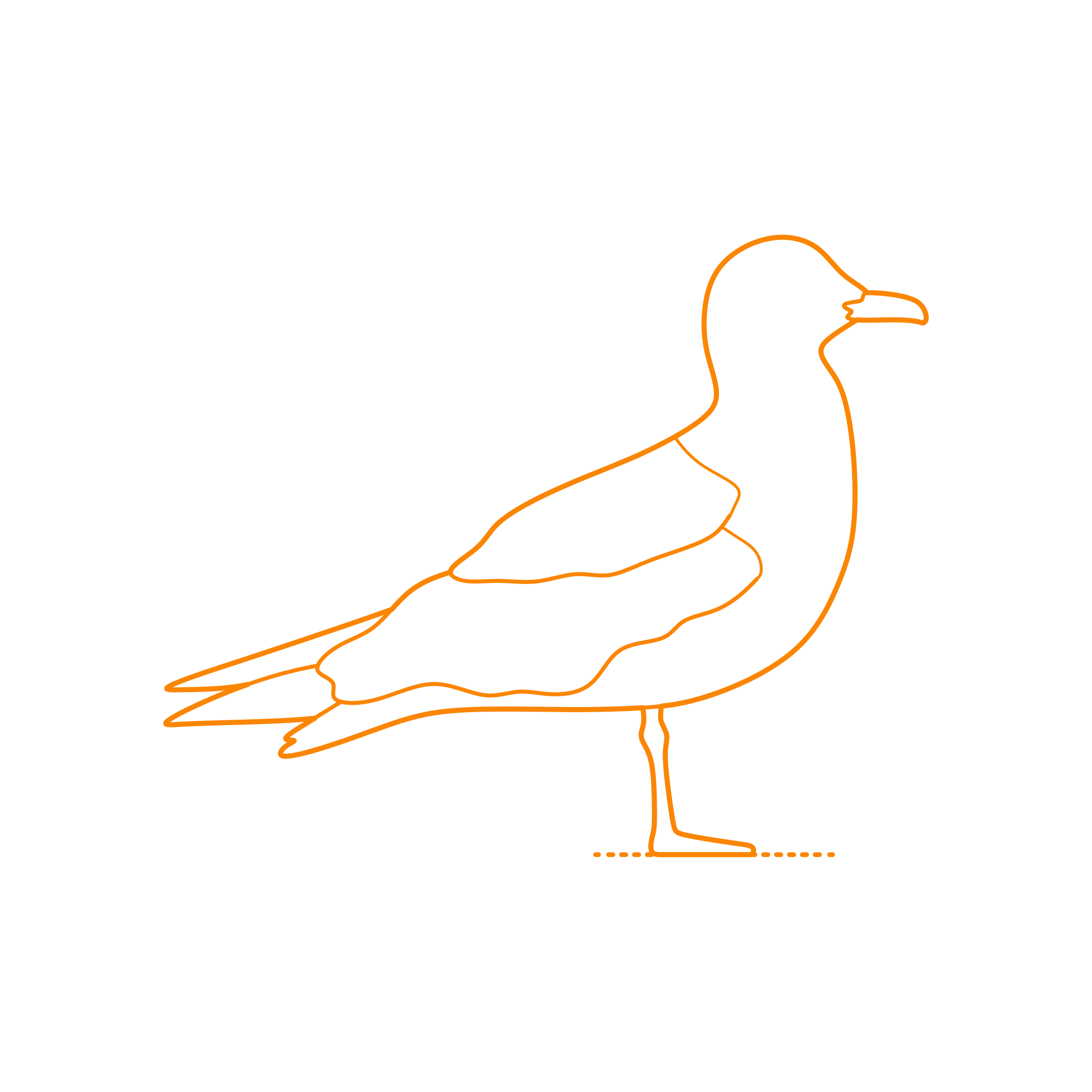Animals Seabirds Northern Fulmar Sketch Svg Vector Free Vectors